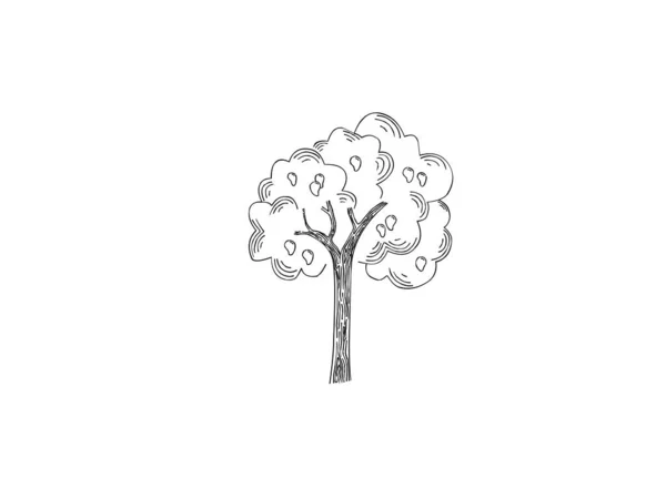 Hand Drawn Tree Icon Vector Illustration — Stock Vector
