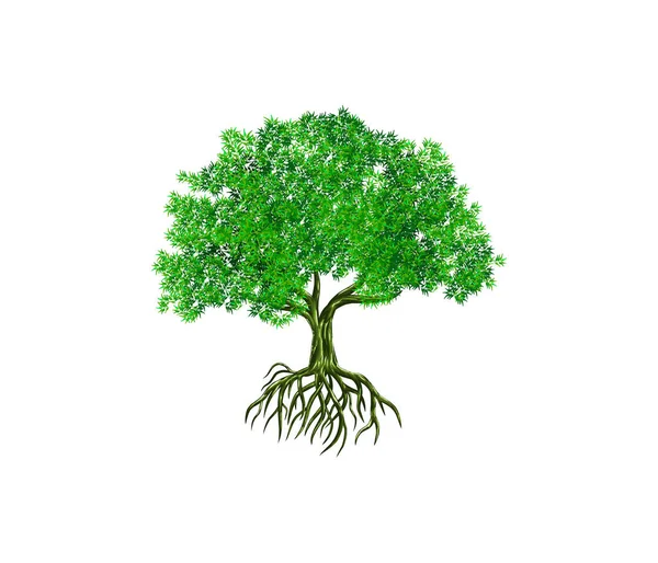 Όμορφο Πανό Δέντρο Διανυσματική Απεικόνιση — Διανυσματικό Αρχείο