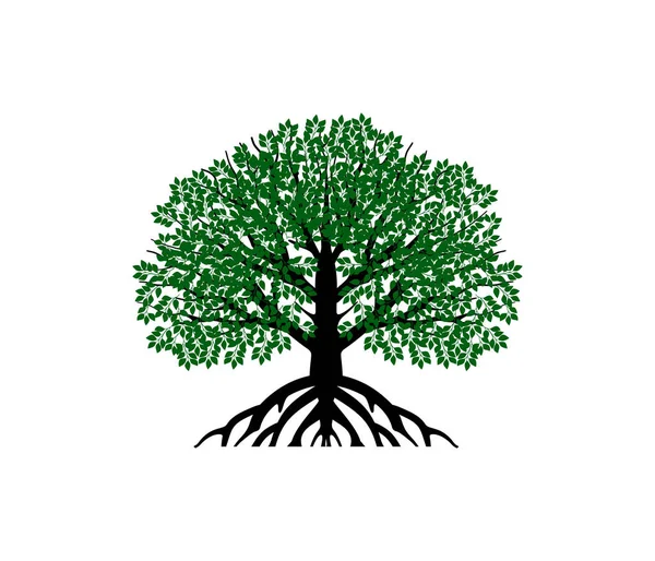 Spanduk Pohon Yang Indah Gambar Vektor - Stok Vektor