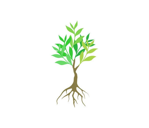 Baum Symbol Logo Design Vorlage Vektor — Stockvektor