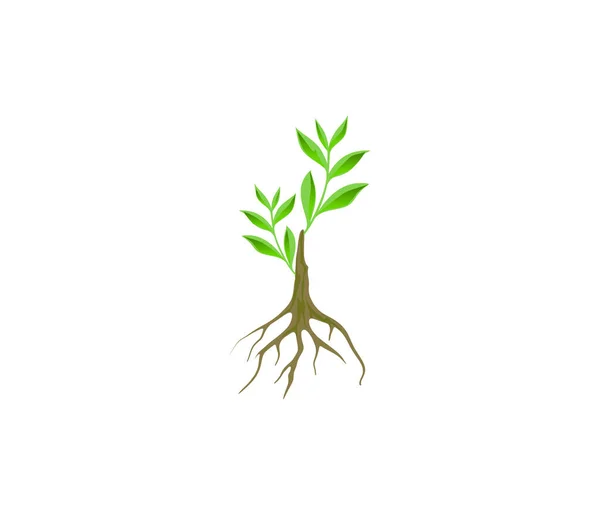 Baum Symbol Logo Design Vorlage Vektor — Stockvektor