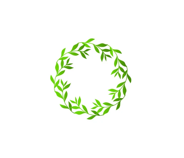 Padrão Folhas Verdes Redondas Ilustração Vetorial — Vetor de Stock