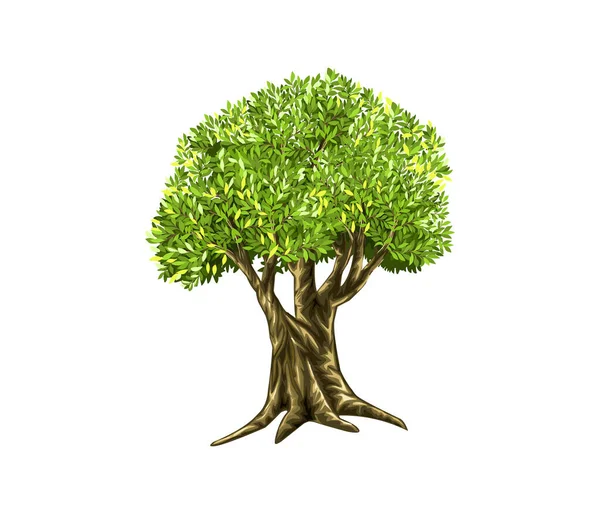 Απεικόνιση Διανύσματος Εικονιδίου Δένδρου Διάνυσμα Αρχείου