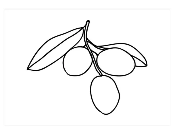 橄榄色图标矢量插图 — 图库矢量图片
