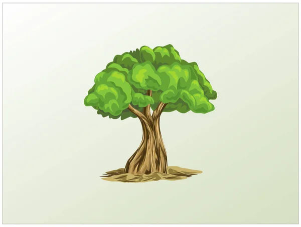 Teak Träd Ikon Vektor Illustration — Stock vektor
