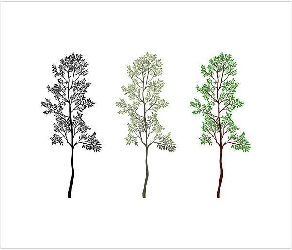 Векторная Иллюстрация Иконок Тикового Дерева — стоковый вектор