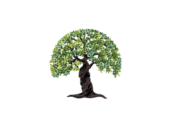 Olive Tree Circle Shape — Stock Vector