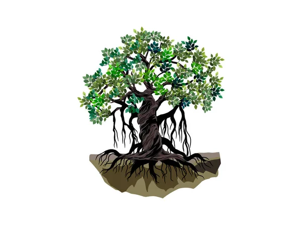 Modelo Logotipo Árvore Banyan Estilo Decorativo Árvore Raízes — Vetor de Stock