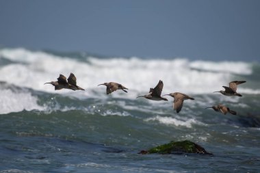 Okyanusun üzerinde uçan bir grup tuhaf adam.