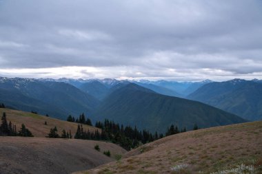 Kuzeybatı Pasifik 'teki dağ manzarası