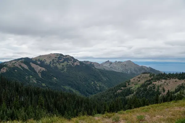 Uitzicht Bergen Pacific Northwest — Stockfoto