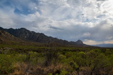 Arizona 'daki dağların üzerinden muson fırtınası 