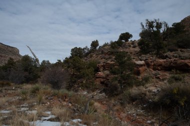 Büyük Kanyon 'daki manzara