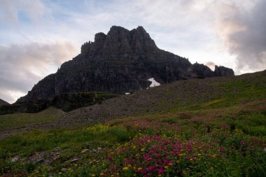 Gün batımında dağın önündeki çiçek tarlası