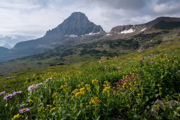 Horská Krajina Severozápadě Kvetoucí Loukou — Stock fotografie