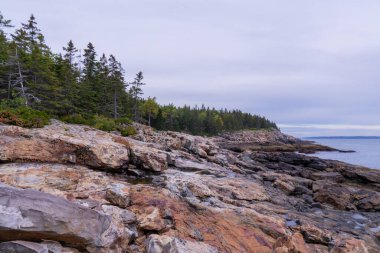 Kuzeydoğudaki Rocky kıyı şeridi.