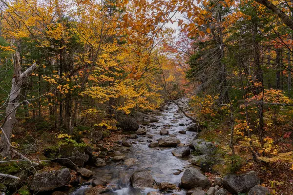 River Northeast Mountains Fall — Stock Photo, Image