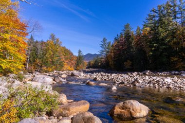Kuzeydoğu dağlarında nehir.