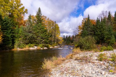 Sonbaharda kuzeydoğu dağlarında nehir.