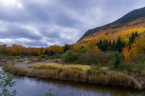 Река Северо Восточных Горах Осенью — стоковое фото