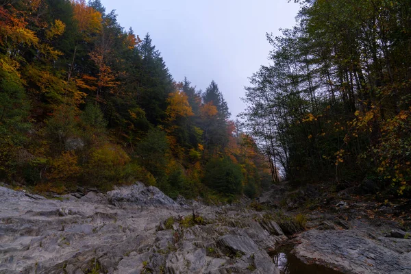 Rivier Noordoostelijke Bergen Tijdens Herfst Een Mistige Ochtend — Stockfoto