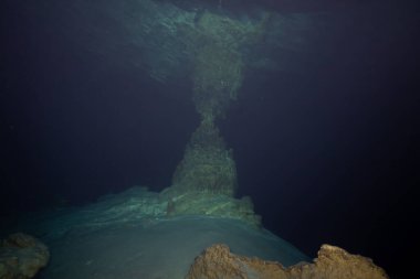 Yucatan 'da sualtı sayımı