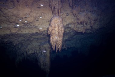 Yucatan 'da sualtı sayımı