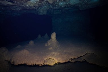 Yucatan 'da sualtı sayımı