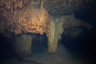 Yucatan 'da sualtı sayımı