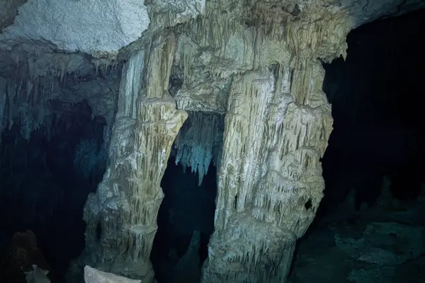 Yucatan 'da sualtı sayımı