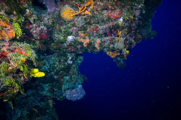 Amerikan Kayalıklarının Uçurum Kenarı