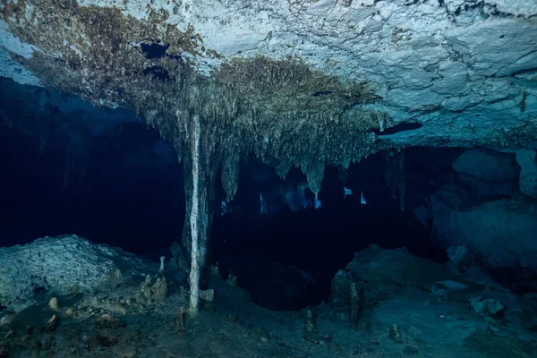 Cenote Pod Wodą Jukatanie Zdjęcia Stockowe bez tantiem