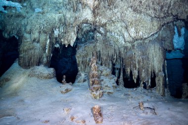 Yucatan 'da sualtı sayımı