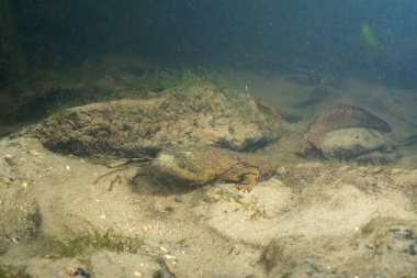 Kumlu nehir yatağında Doğu cehenneminde.