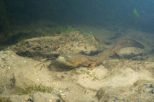 Kumlu nehir yatağında Doğu cehenneminde.