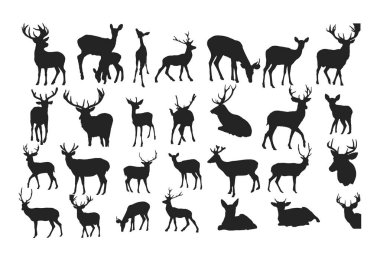 Dianosour Siluet Tasarım Paketi