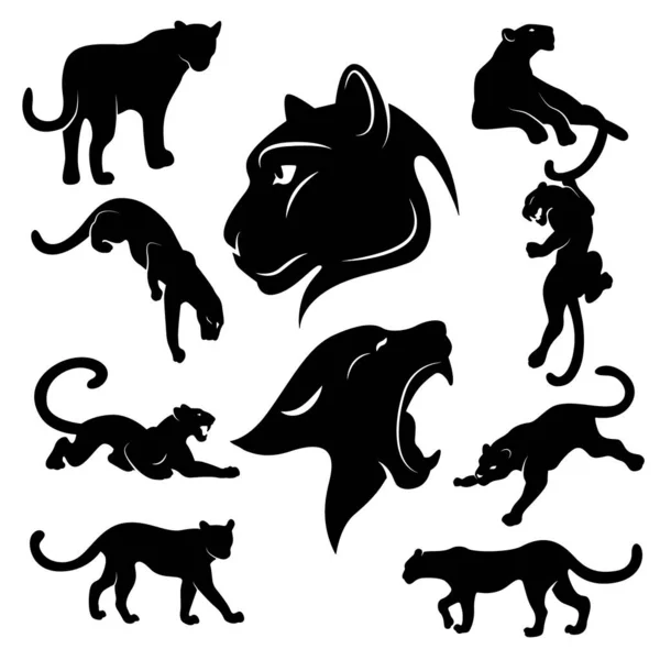 Dianosour Siluet Tasarım Paketi