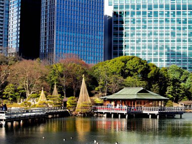 Lago y puente en el Jardin Hama-Rikyu. Tokio. Japonya 2016