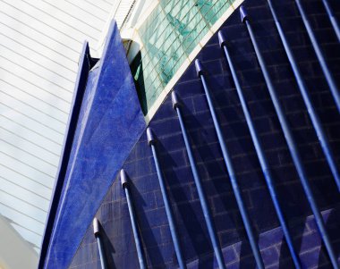 Agora. Sanat ve Bilim Şehri 'nde. Valencia 2023