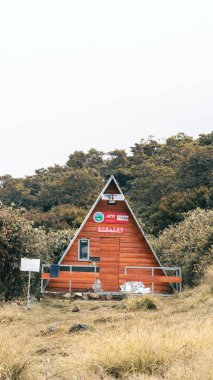 Gede Pangrango Dağı 'na seyahatin fotoğrafı, Surya Kencana meydanındaki patika boyunca yürüyüş macerası. Batı Java, Cianjur 'daki Ulusal Park, 24 Temmuz 2023