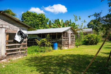 Bahçedeki eski ahşap ev