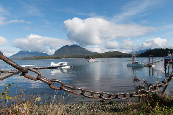 живописный вид на красивую гавань Тофино