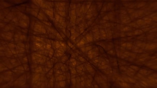 Πορτοκαλί Webbed Στέλεχος Vein Motion Loop — Αρχείο Βίντεο