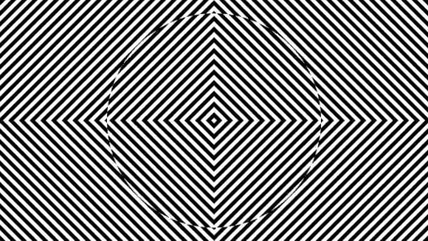 Einfarbige Schwarze Und Weiße Linien Radial Grid Zebra Loop — Stockvideo