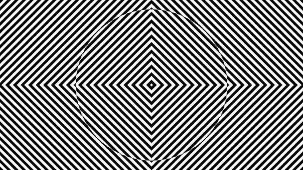 Monochrome Black White Lines Radial Grid Zebra Loop — Stock Video