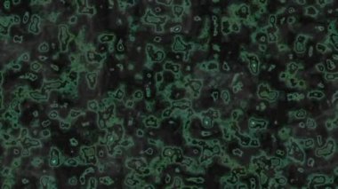 Sıvı Işıltılı Gezegen Yüzeyi Süslü Bulut Amoeba Hareket Eden Yeşil Döngü