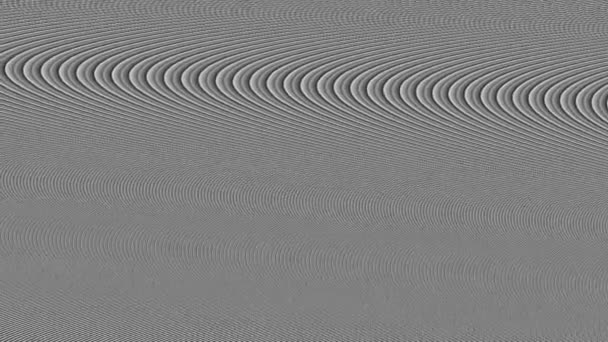 Rauschen Monochrom Verzerrungswellen Animation Schwarz Weiß Langsamschleife — Stockvideo