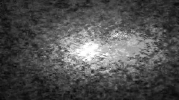 Schwarz Weiß Diffuse Körnige Hintergrundfilterschleife — Stockvideo