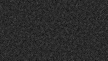 Geometrik Organik Gri Ölçekli Çizgi ve Nokta Döngülü Şekiller