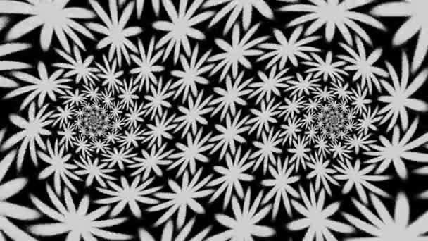 Hypnose Dual Pivot Graustufen Blume Blütenblatt Spinning Loop — Stockvideo